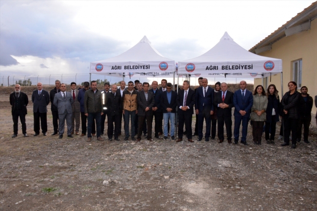 Ağrı'da sokak hayvanları sıcak yuvalarına kavuştu